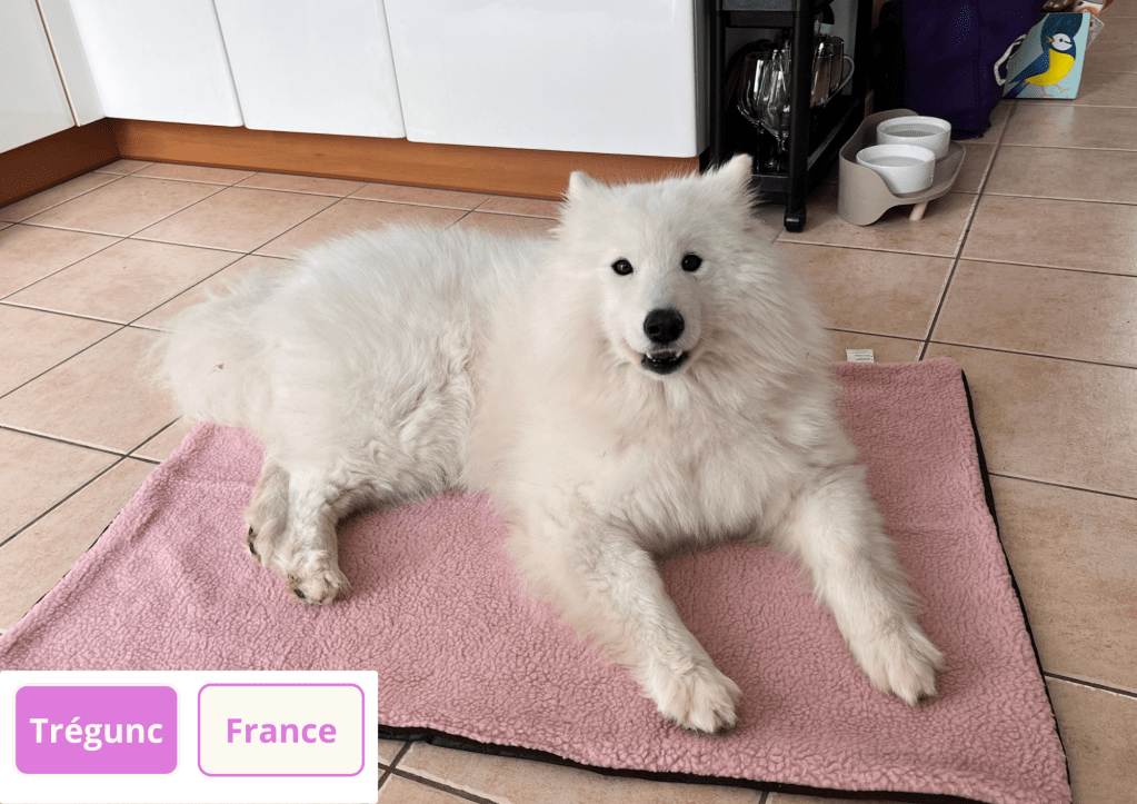 ~ Ces majestés testent le nouveau matériel de couchage