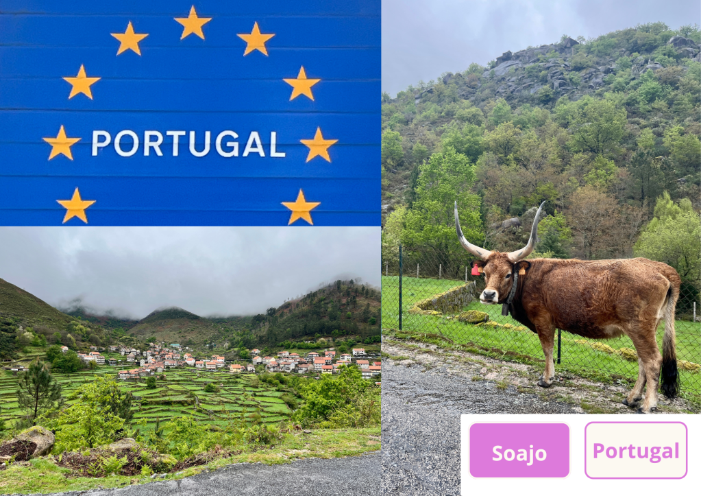 ~ Bom dia, bem-vindos a Portugal !