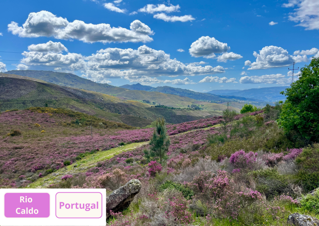 ~ Lands portugaises…