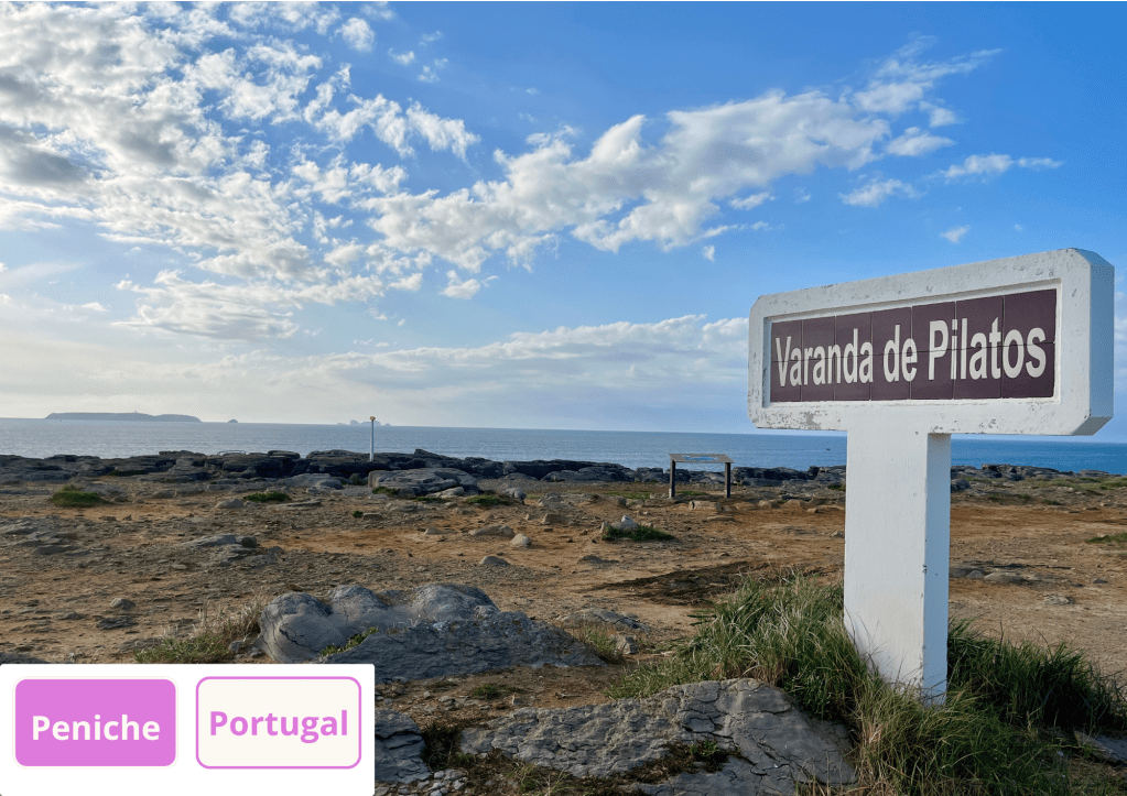 ~ Une bonne coopération&nbsp;!