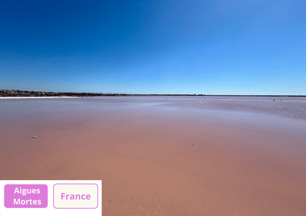 ~ La vie en&nbsp;rose