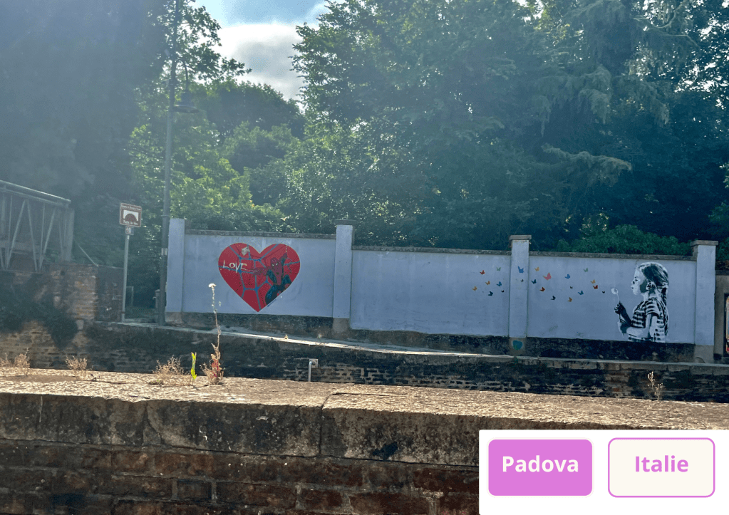 ~ D’un coup de cœur à un coup de mou