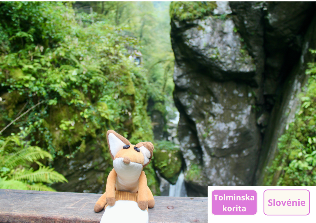 ~ Plongée dans Tolmin, envol vers Gonjače : Fox aussi fait sa rentrée&nbsp;!